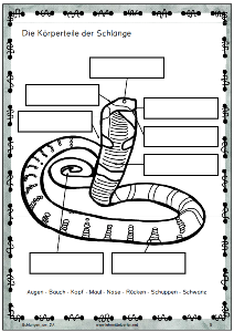 schlangen